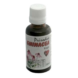 Kapi ehinacea